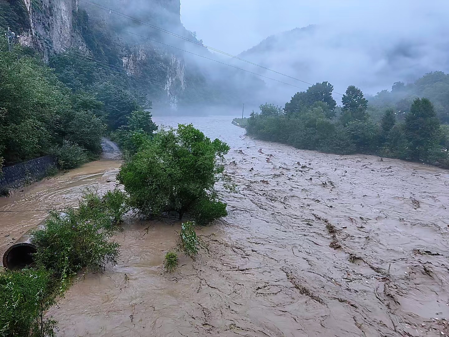 1721810116713551Cgoc.jpg 1721810116713551Cgoc.jpg