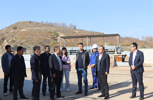 黨委書記、董事長劉衛(wèi)東前往大興場站進行項目調(diào)研.jpg